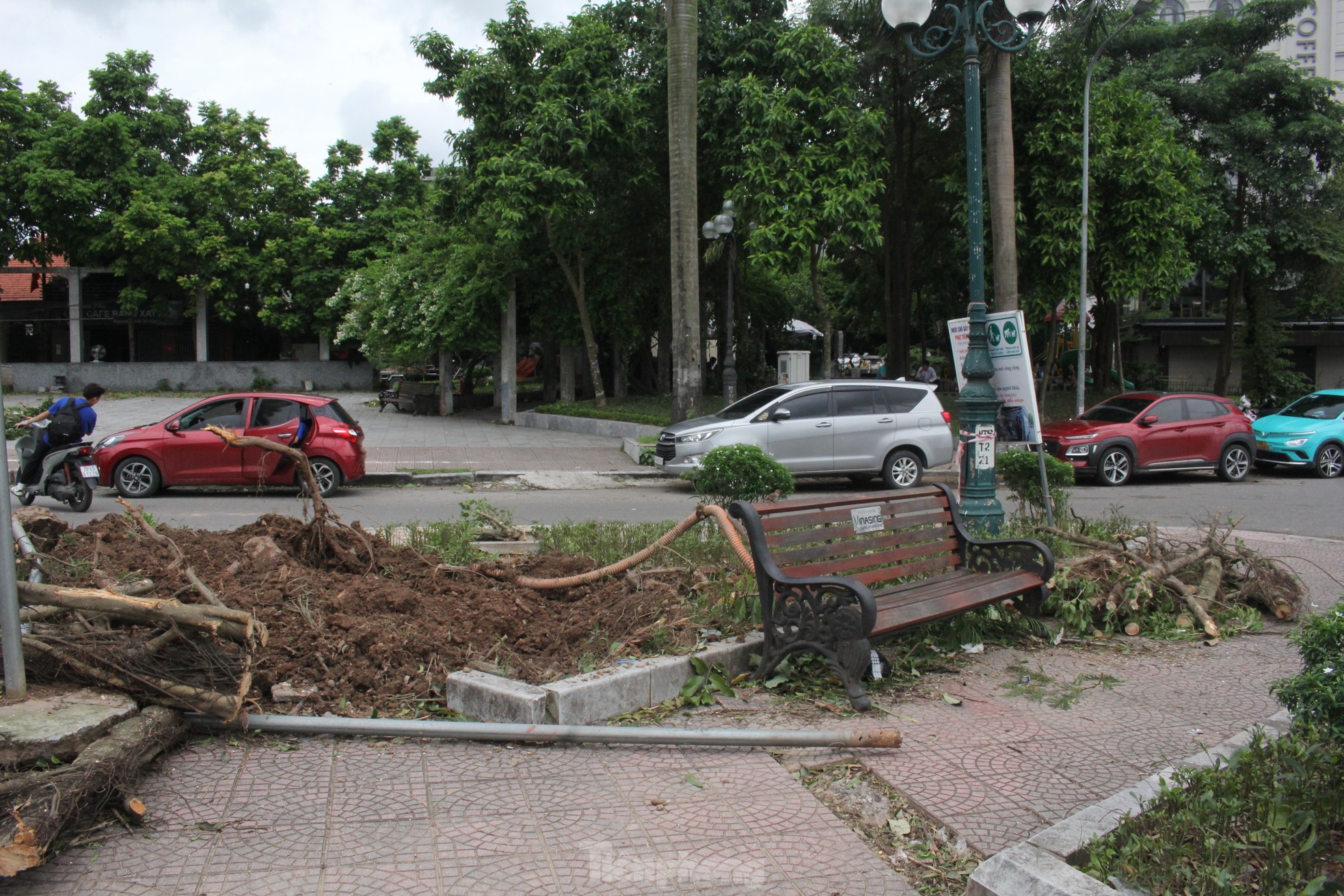 Ngựa 'chạy' tán loạn, biểu tượng tình yêu vụn vỡ do bão số 3 - Ảnh 8.