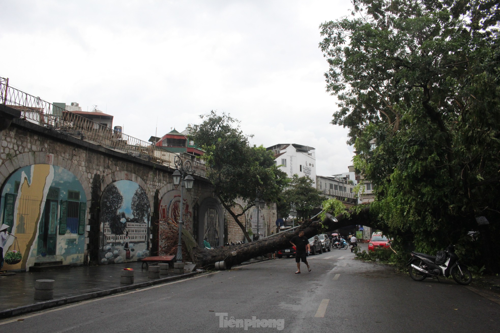 Ngựa 'chạy' tán loạn, biểu tượng tình yêu vụn vỡ do bão số 3 - Ảnh 12.