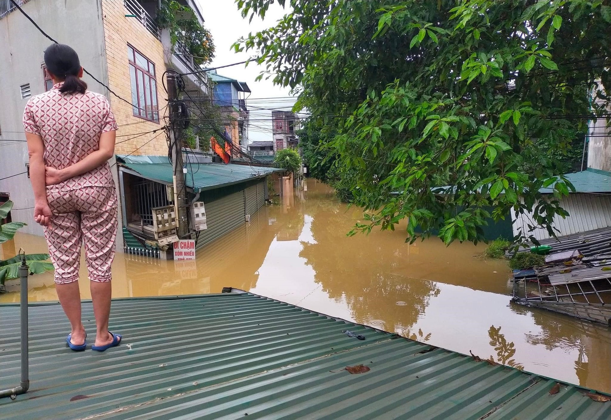 Nước sông Lô dâng cao trên mức báo động 3, Tuyên Quang ngập sâu trên 2m - Ảnh 6.