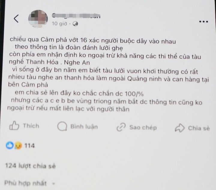 Quảng Ninh bác thông tin vớt được 16 thi thể buộc dây vào nhau - Ảnh 2.