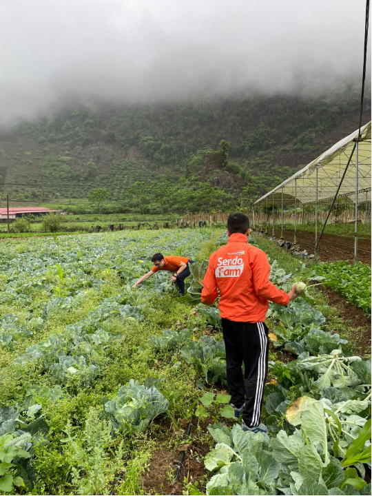 Sendo Farm: Đổi mới cách đi chợ - Tiện lợi, chất lượng, tiết kiệm mỗi ngày - Ảnh 2. Sendo Farm: Đổi mới cách đi chợ - Tiện lợi, chất lượng, tiết kiệm mỗi ngày - Ảnh 2.