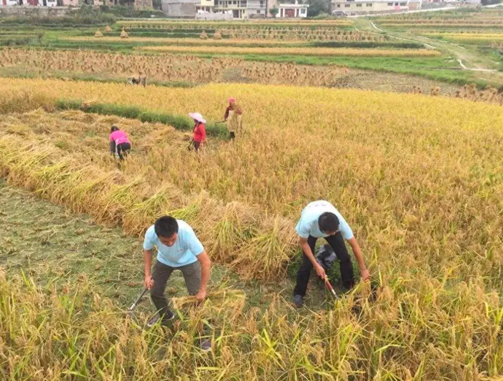 Cho cháu vay 10 triệu tiền đi học, 23 năm sau tôi nhận về một căn nhà mới, cuộc sống giàu sang bắt đầu từ đây: Khi cho vay, quan trọng nhất là ĐÚNG VIỆC, ĐÚNG NGƯỜI- Ảnh 2.