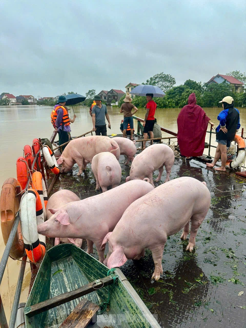 Nước ngập tới mái nhà, cả làng biến thành &quot;ốc đảo&quot; - Ảnh 8.