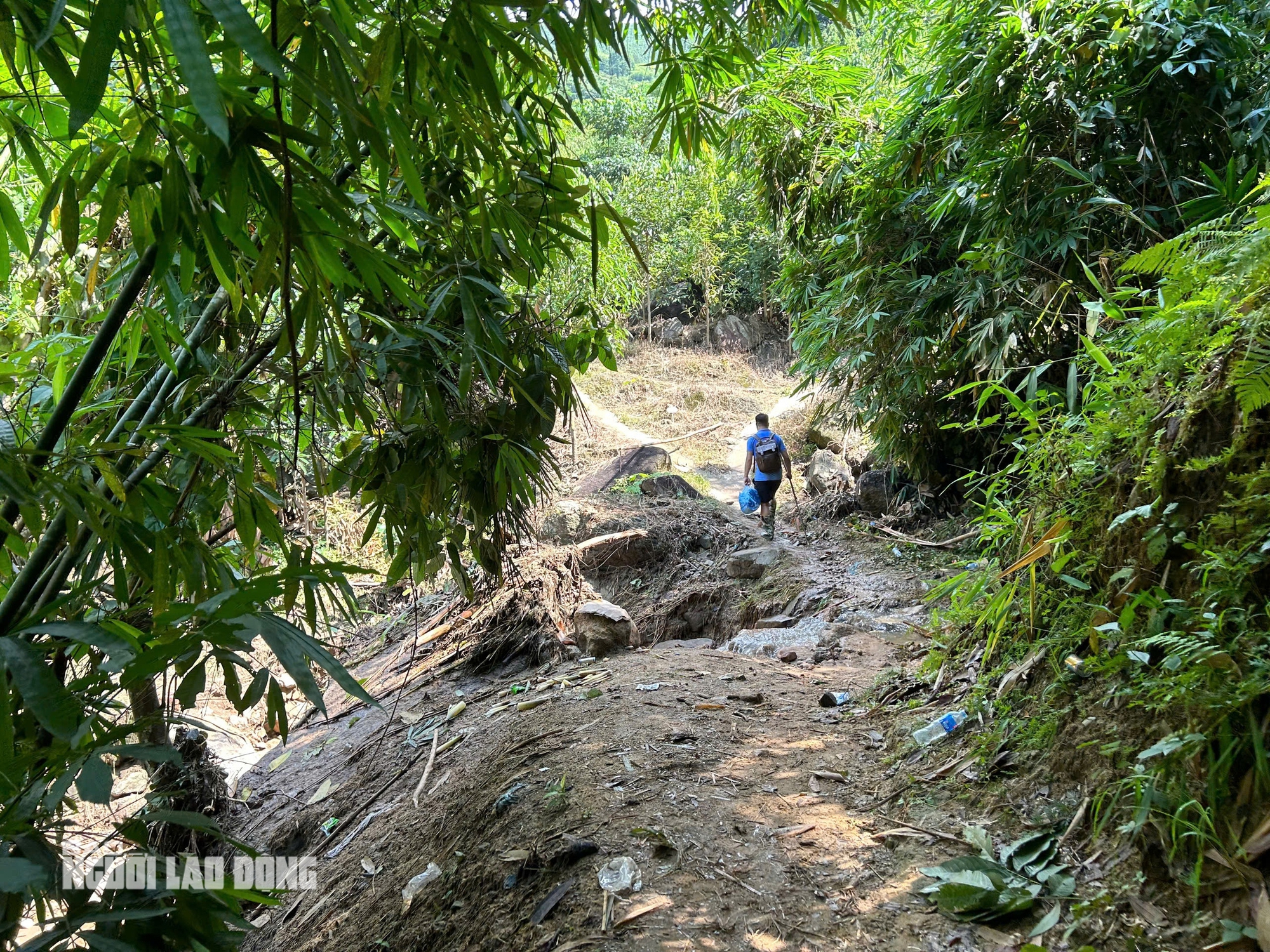 Tường trình tại hiện trường vụ sạt lở &quot;xoá sổ&quot; 8 căn nhà, 18 người chết và mất tích- Ảnh 1.