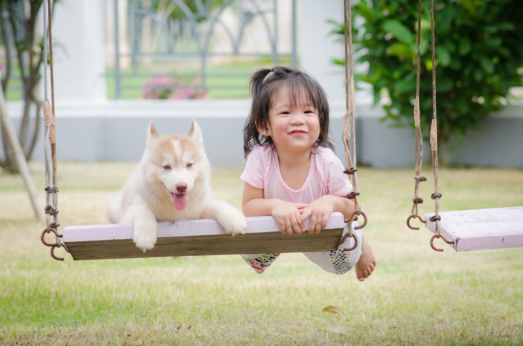 Đi chơi về nhà, cậu bé mang theo một 