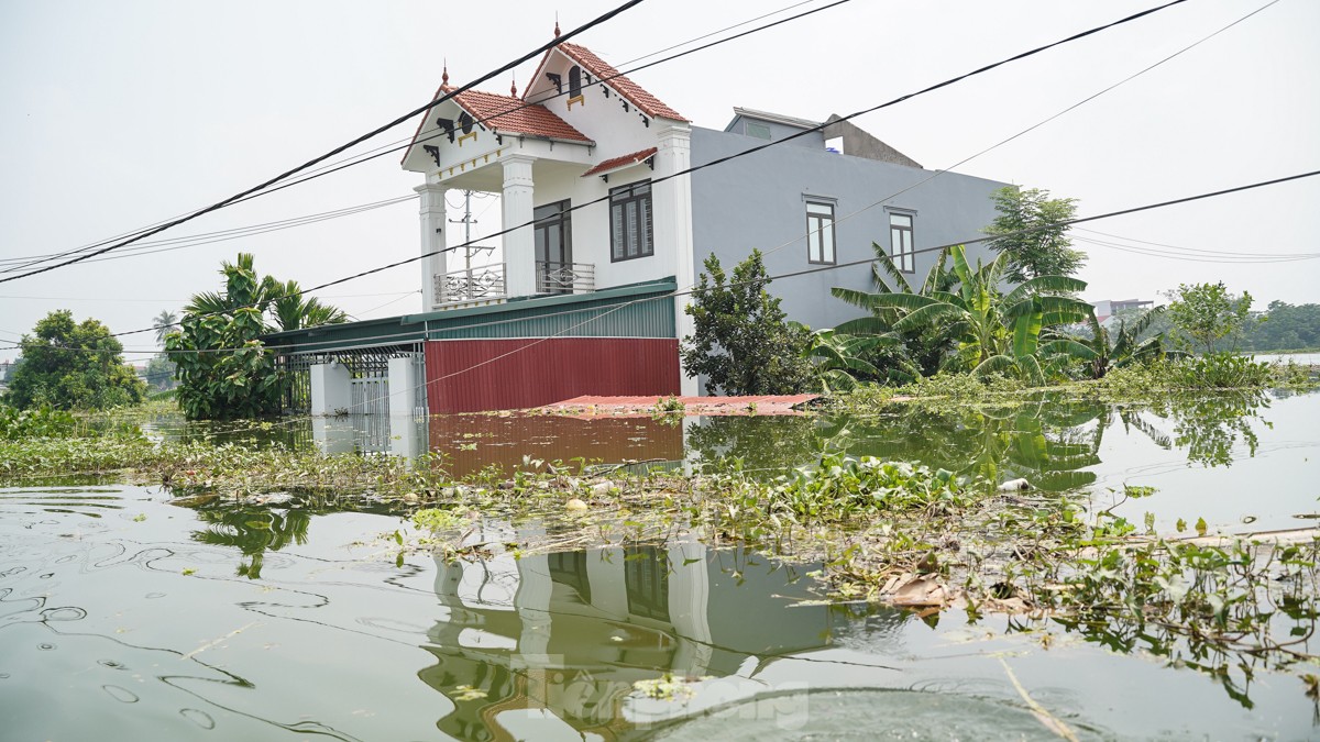 &quot;Lũ rừng ngang&quot; nhấn chìm hàng trăm ngôi nhà ở ngoại thành Hà Nội - Ảnh 10.