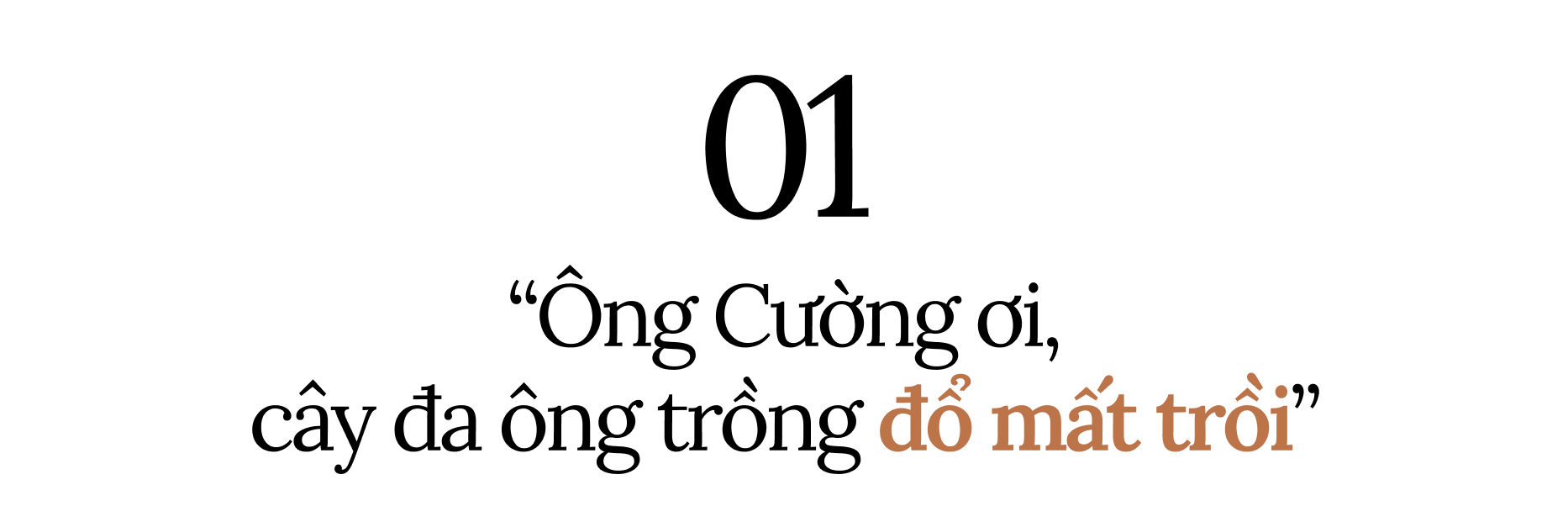 Chuyện tình của cụ ông 84 tuổi và người vợ đẹp nhất phố Phùng Hưng nổi tiếng sau vụ cây đa cổ thụ bật gốc- Ảnh 1.