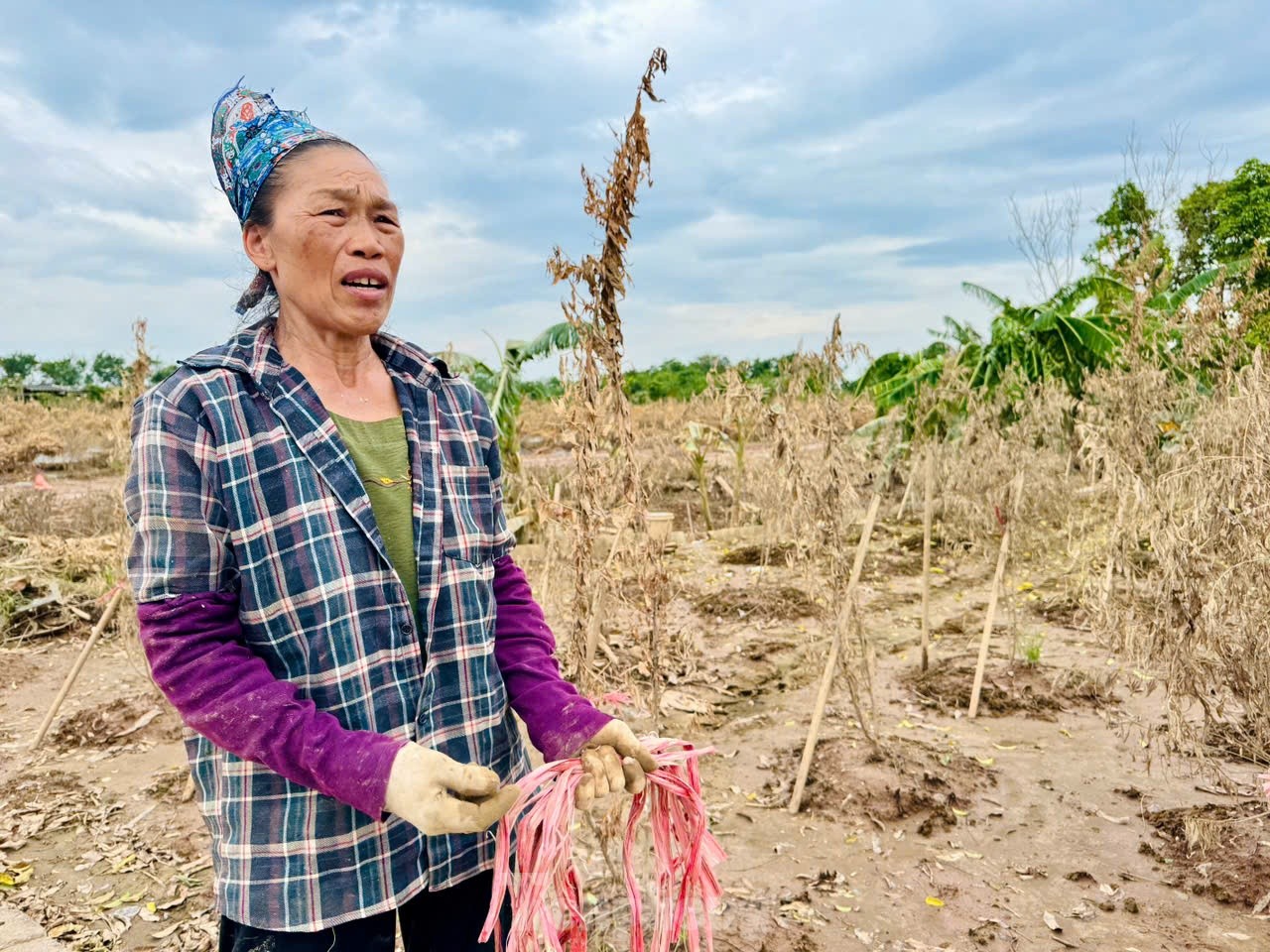 Gần 80.000 con gà chết trong nước lũ, lão nông mất trắng hơn chục tỷ đồng - Ảnh 9.