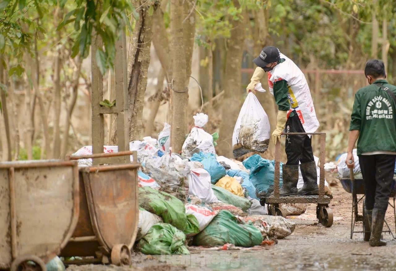 Gần 80.000 con gà chết trong nước lũ, lão nông mất trắng hơn chục tỷ đồng - Ảnh 6.