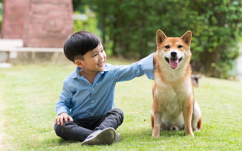 Giữa trưa không thấy con đâu, mẹ hốt hoảng chạy ra đường tìm rồi giật mình khi thấy cảnh tượng trước mắt- Ảnh 3.