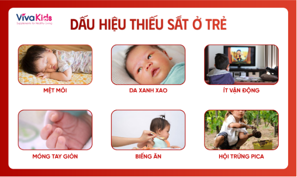  Đẩy lùi nỗi lo con biếng ăn, thiếu máu nhẹ cùng chuyên gia Ferosis - Ảnh 2.