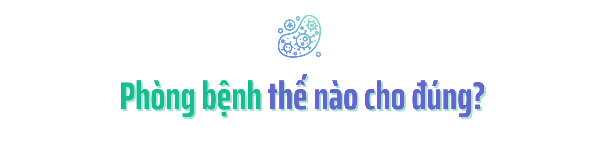 sot-xuat-huyet-hieu-va-phong-benh-the-nao-cho-dung-1726755727048-1726755727178391796814.png