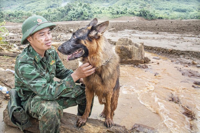 Vào Làng Nủ, gặp chú chó từng đi cứu hộ quốc tế - Ảnh 1.