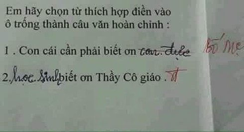 Đề bài yêu cầu &quot;Viết 1, 2 câu cảm động về câu chuyện Hai anh em&quot;, học sinh ngoáy bút 4 từ không ai ngờ!- Ảnh 2.