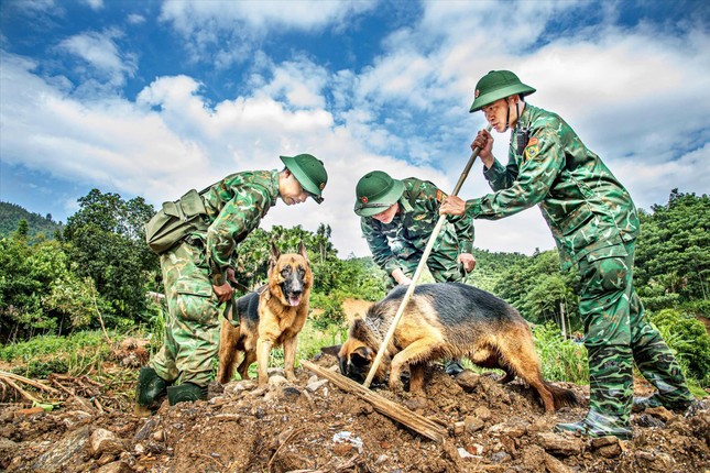 Vào Làng Nủ, gặp chú chó từng đi cứu hộ quốc tế - Ảnh 3.