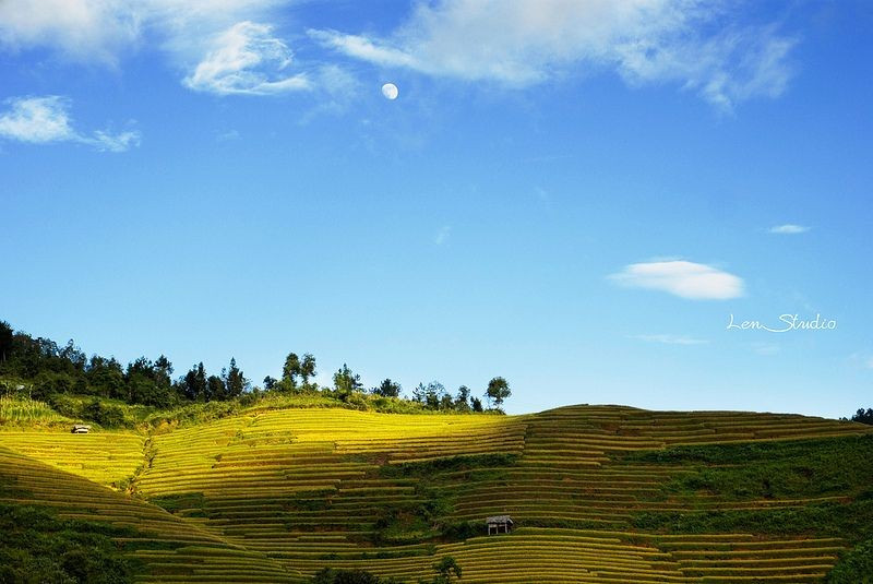 3 cung hoàng đạo có ngày thứ 7 viên mãn, mọi sự như ý muốn - Ảnh 1.