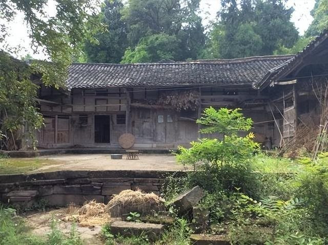 Lão nông đào được báu vật trị giá 34 tỷ đồng trong nhà, tưởng đổi đời sau 1 đêm thì sốc khi nghe chuyên gia phán 1 câu - Ảnh 2.