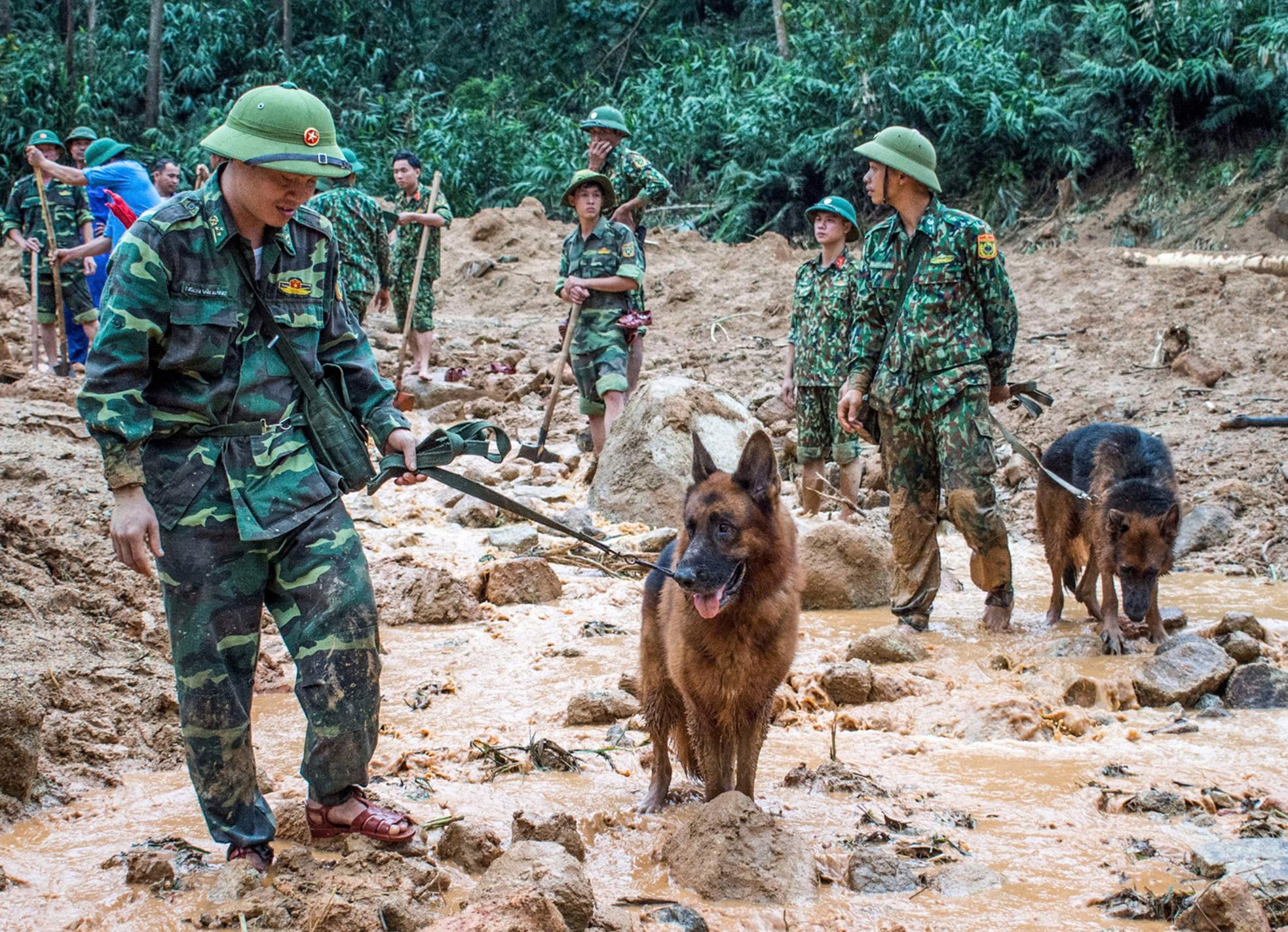 Cảm động những chú quân khuyển Biên phòng làm nhiệm vụ tại Làng Nủ - Ảnh 5.