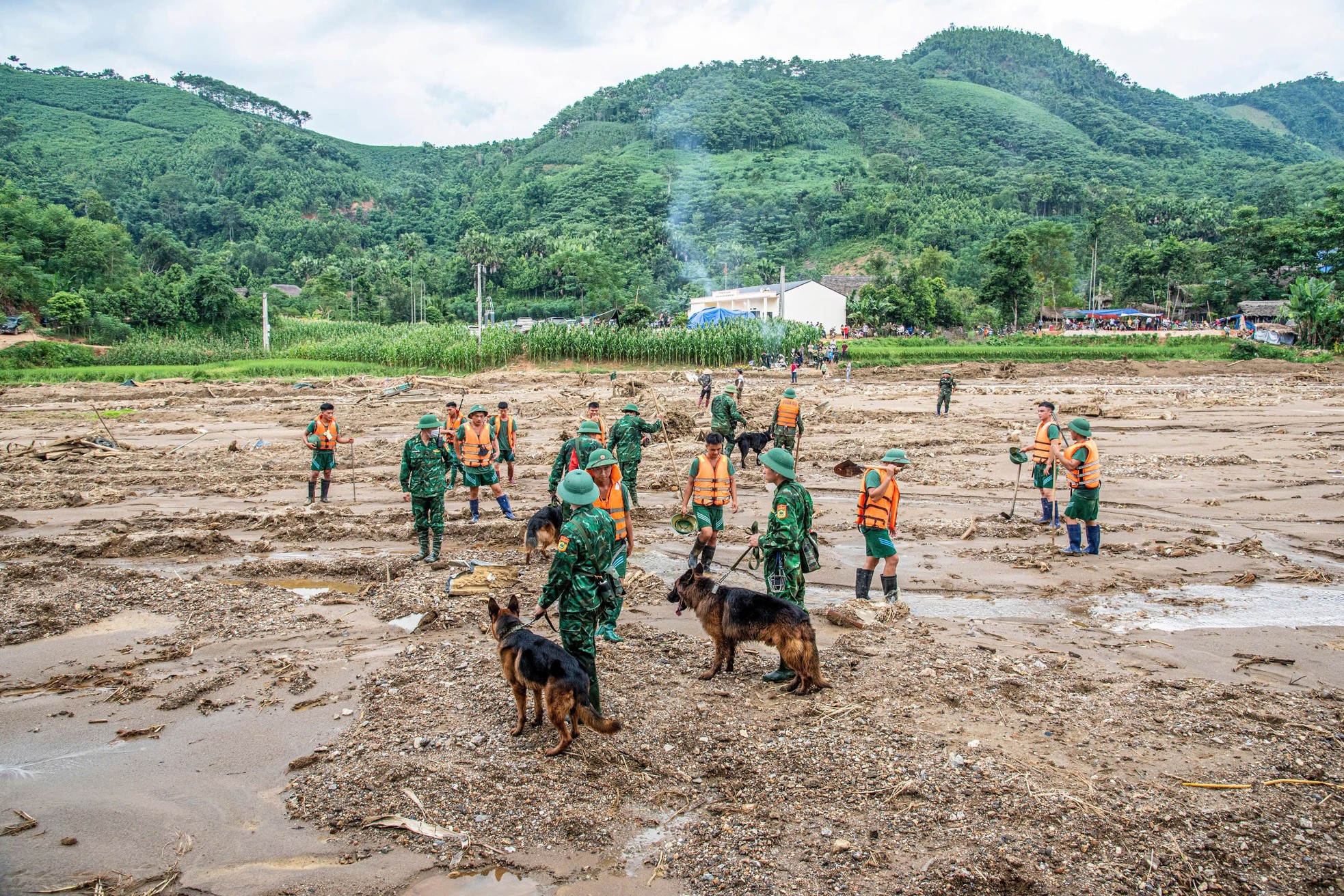 Cảm động những chú quân khuyển Biên phòng làm nhiệm vụ tại Làng Nủ - Ảnh 6.