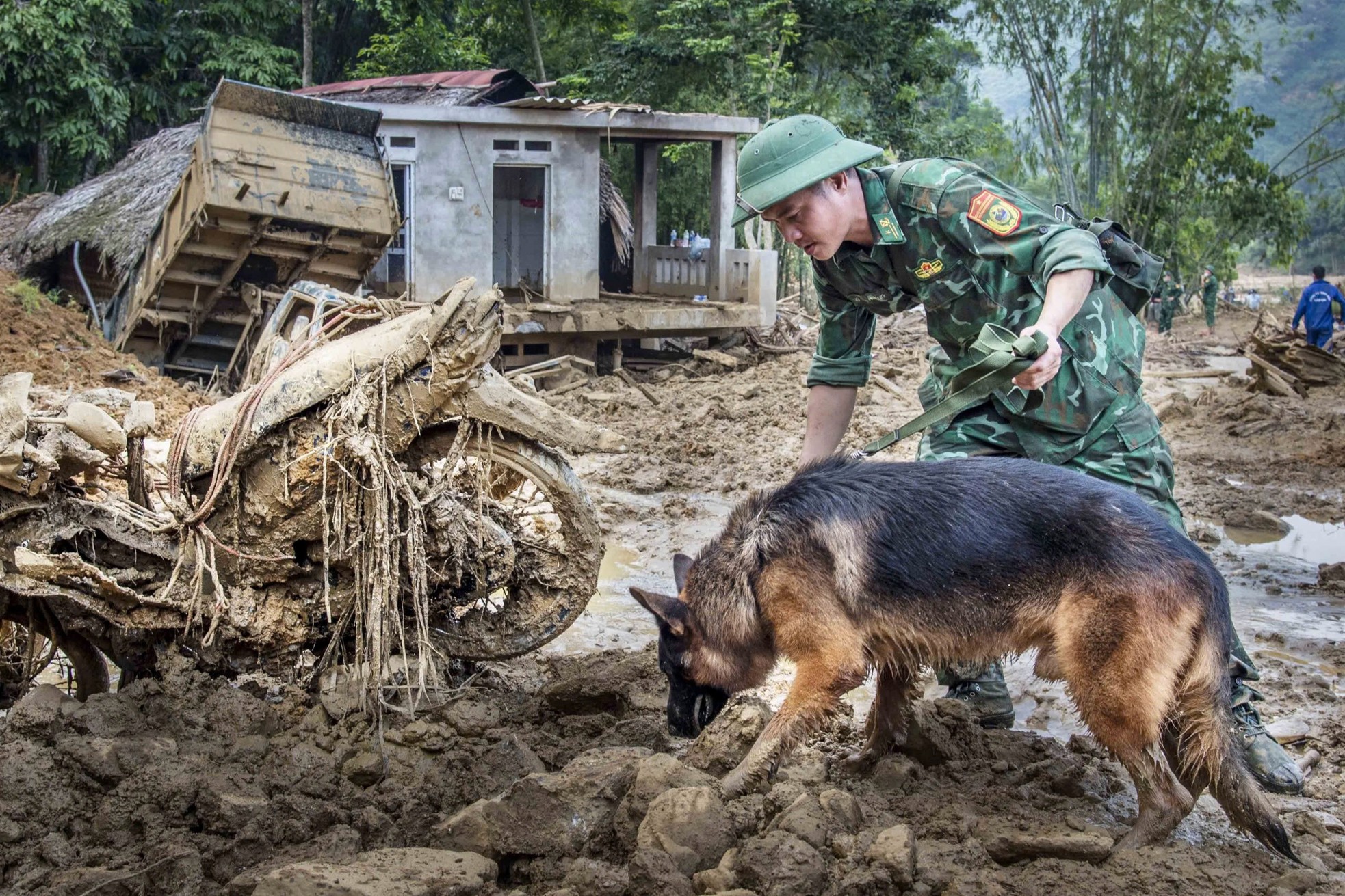 Cảm động những chú quân khuyển Biên phòng làm nhiệm vụ tại Làng Nủ - Ảnh 4.