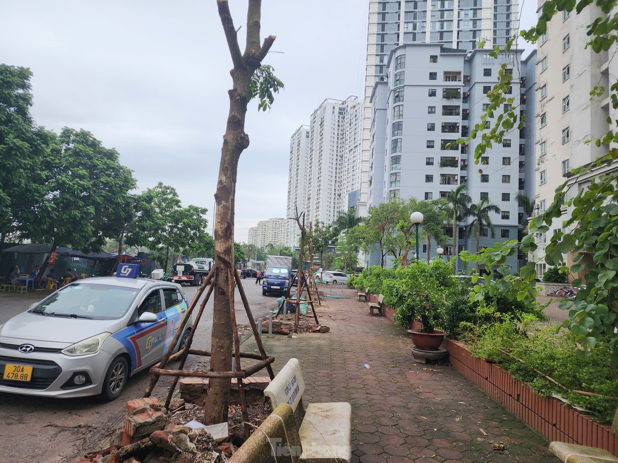 Hà Nội: Người dân khu đô thị ngỡ ngàng vì loạt cây xanh sống sót sau bão bị đốn hạ - Ảnh 10.