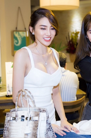 Chiếc túi Hermès bà Trương Mỹ Lan tiếc nuối: 7 năm trước khiến showbiz Việt loạn lạc vì drama &quot;auth - fake&quot;- Ảnh 13.