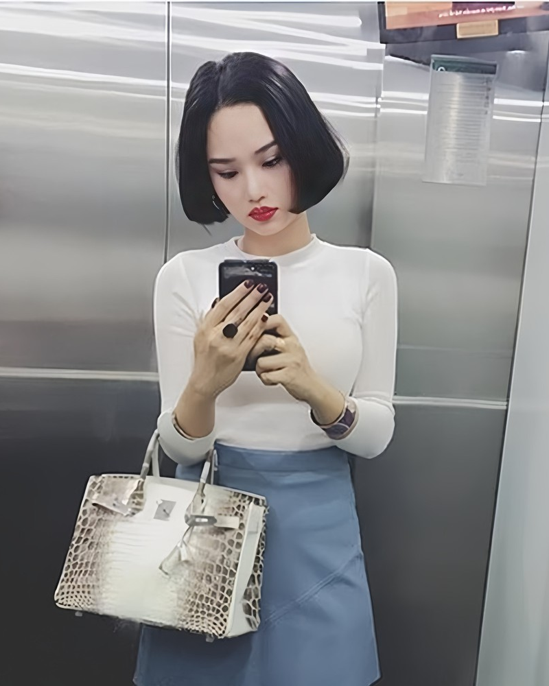 Chiếc túi Hermès bà Trương Mỹ Lan tiếc nuối: 7 năm trước khiến showbiz Việt loạn lạc vì drama &quot;auth - fake&quot;- Ảnh 14.