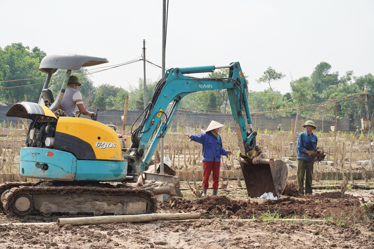 Người dân khóc nghẹn khi đốt từng gốc cây, nỗ lực &quot;hồi sinh&quot; làng đào Nhật Tân sau bão lũ - Ảnh 13.