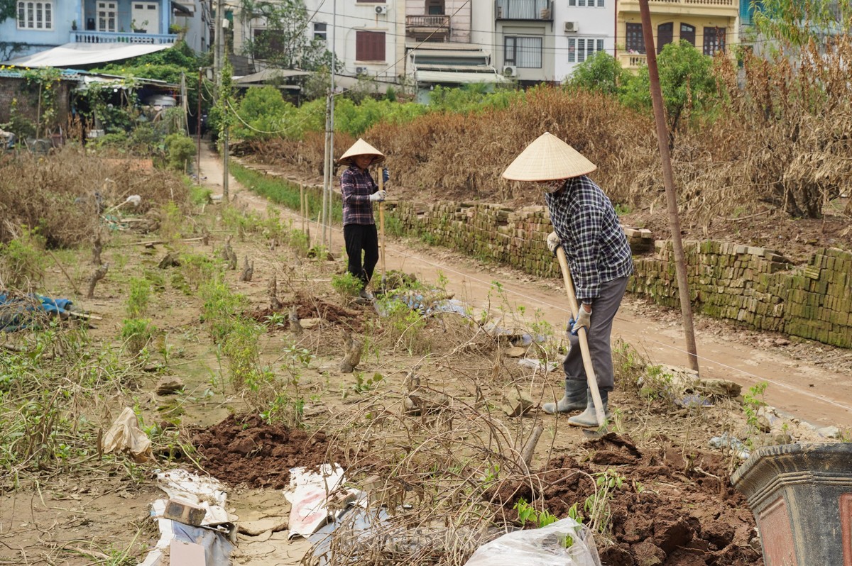 Người dân khóc nghẹn khi đốt từng gốc cây, nỗ lực &quot;hồi sinh&quot; làng đào Nhật Tân sau bão lũ - Ảnh 15.