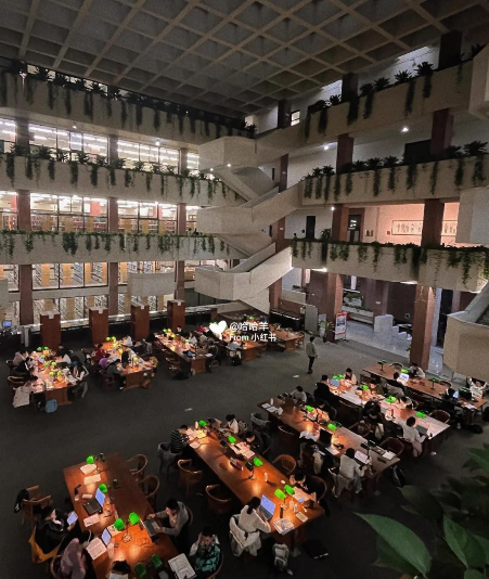 Bát canh ở canteen ĐH Thanh Hoa bất ngờ gây sốt: Nhờ nó, tôi nhận ra sự khác biệt "cao vời vợi" giữa trường top đầu và trường bình thường - Ảnh 6. Bát canh ở canteen ĐH Thanh Hoa bất ngờ gây sốt: Nhờ nó, tôi nhận ra sự khác biệt "cao vời vợi" giữa trường top đầu và trường bình thường - Ảnh 6.