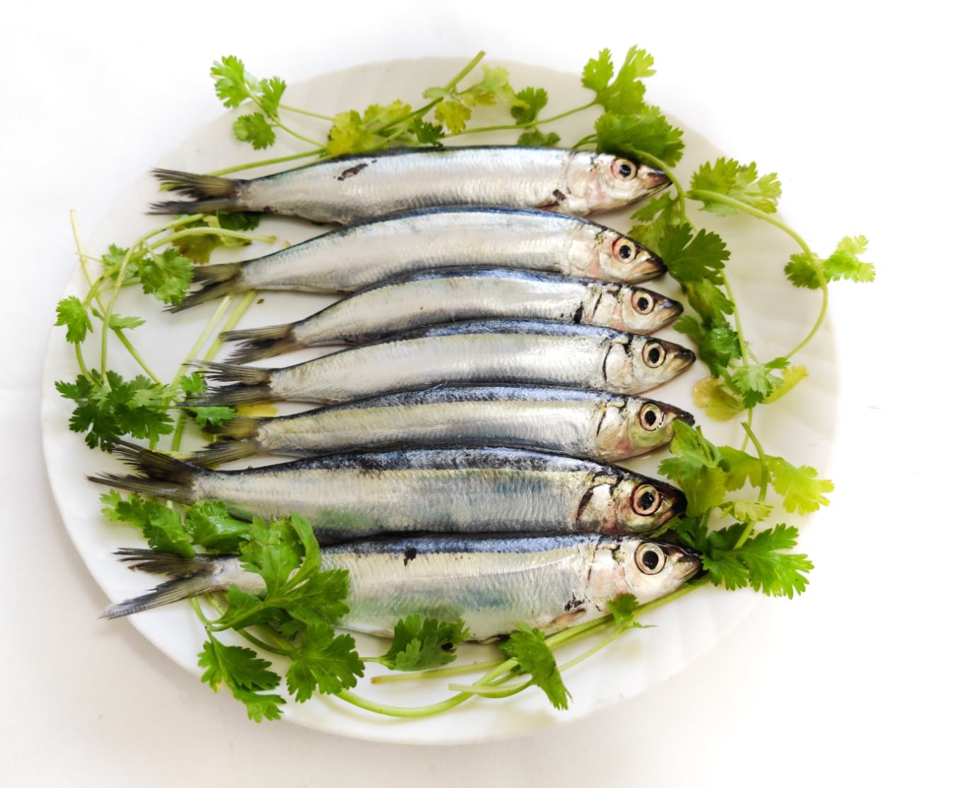 sardines-1kg-1-custom-1727683465335-17276834655251289865950.jpg