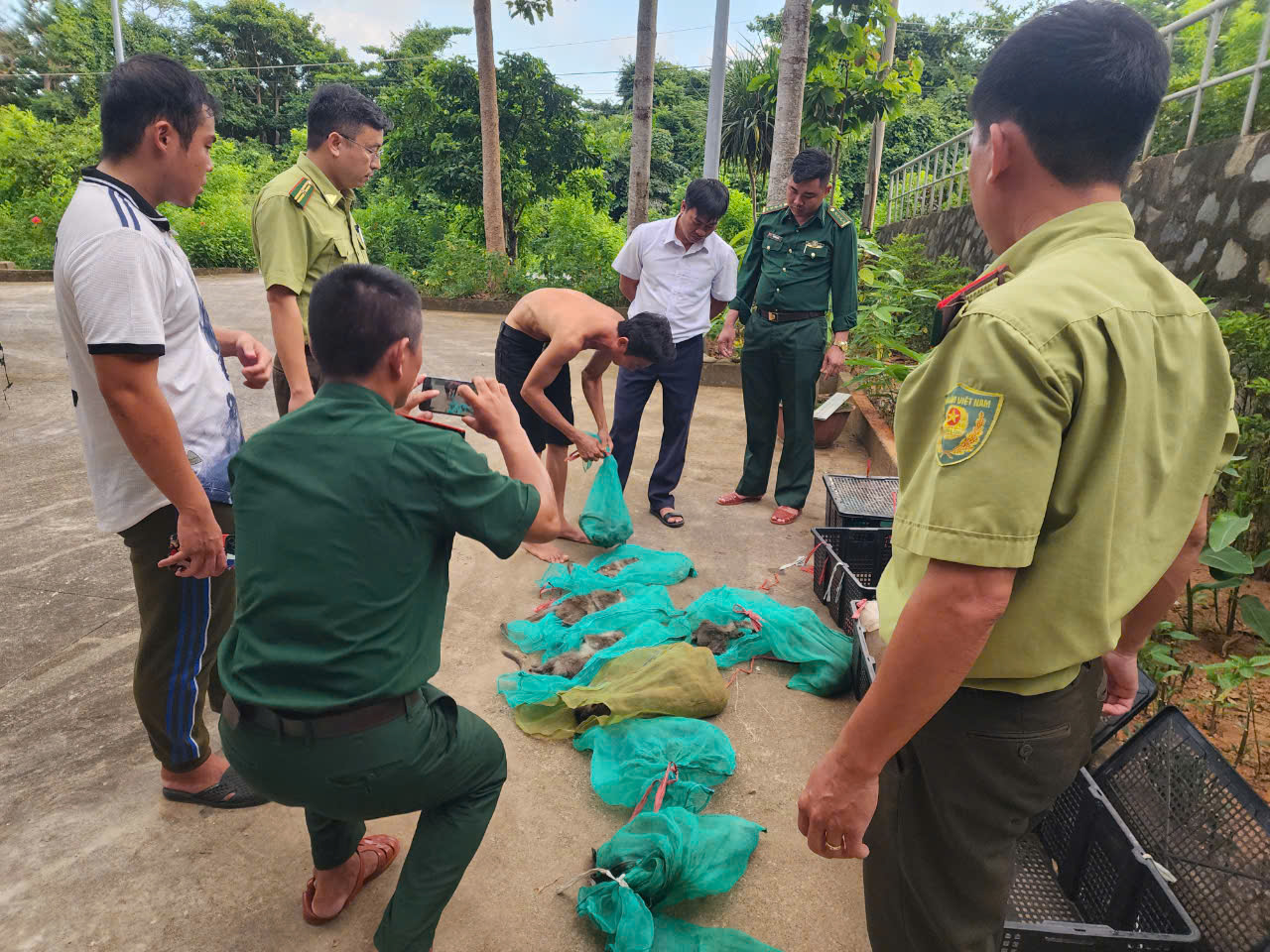 17 cá thể khỉ đuôi dài ở Côn Đảo bị bắt, hơn một nửa bị giết hại- Ảnh 2. 17 cá thể khỉ đuôi dài ở Côn Đảo bị bắt, hơn một nửa bị giết hại- Ảnh 2.