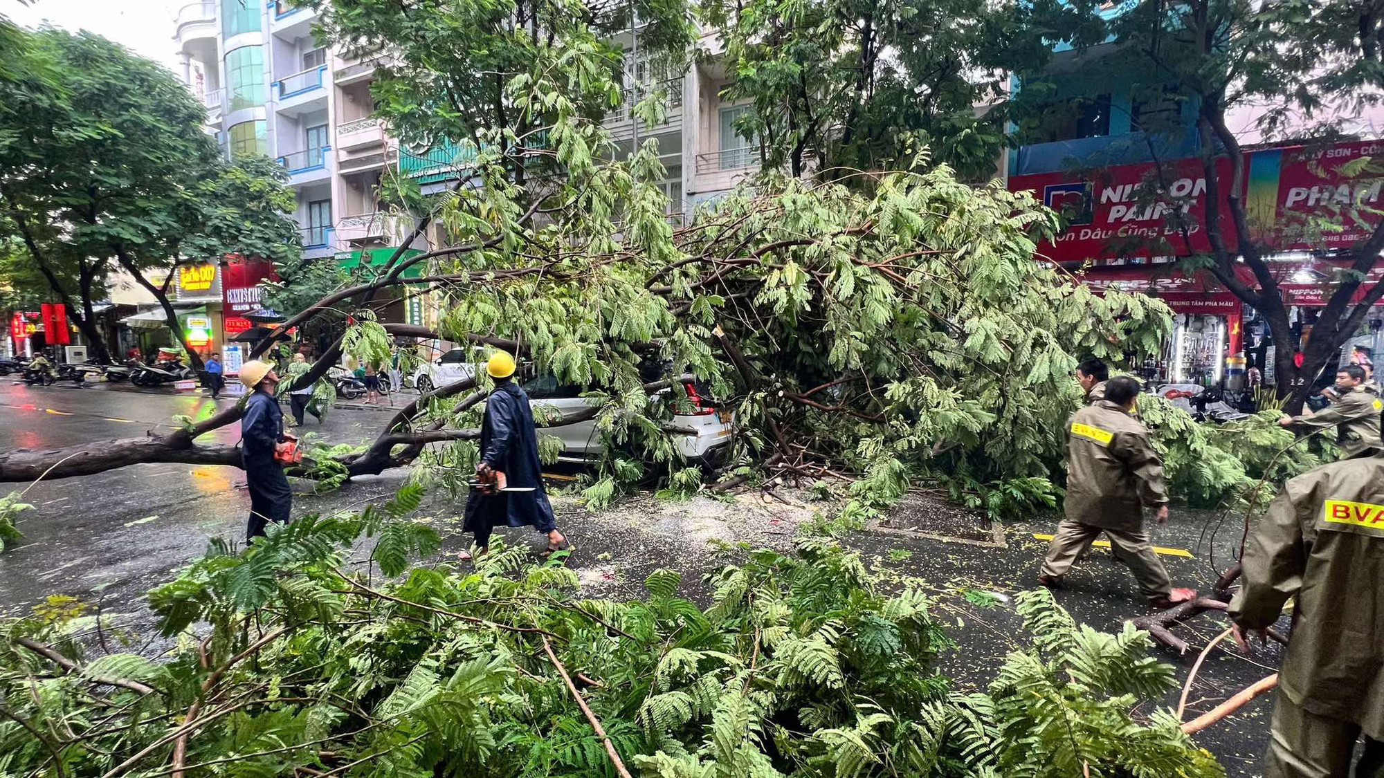 Cây xanh bị quật ngã la liệt, đè ô tô và người đi xe máy sau mưa dông ở TP.HCM- Ảnh 4.