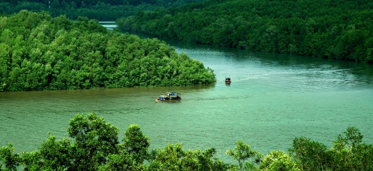 Cuối tuần này bạn và gia đình có hẹn chạy cùng cùng nhau tại “lá phổ xanh” của TP.HCM	 - Ảnh 1.