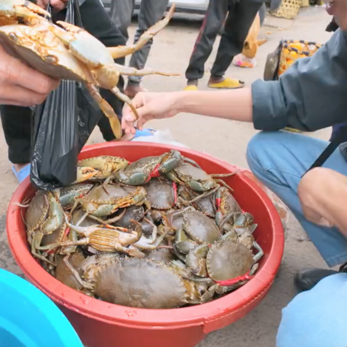 Khoai Lang Thang khiến dân tình 