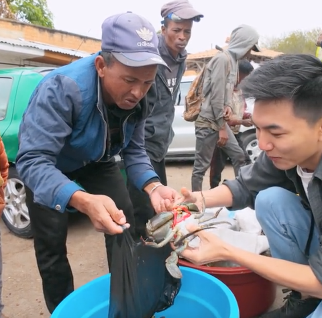 Khoai Lang Thang khiến dân tình 