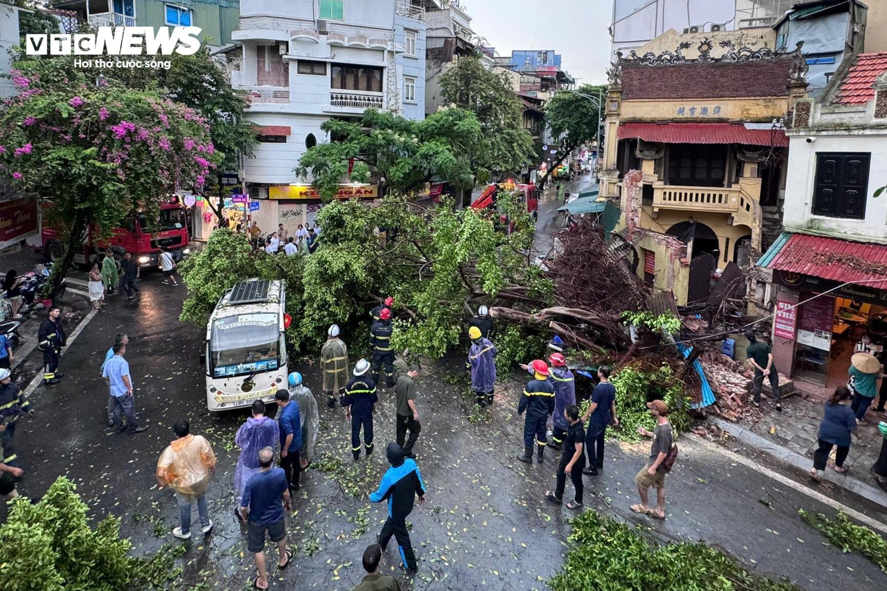 Hà Nội: Ảnh hưởng siêu bão Yagi, cây đổ khiến tường sập, ô tô bẹp dúm trên đường - Ảnh 5.