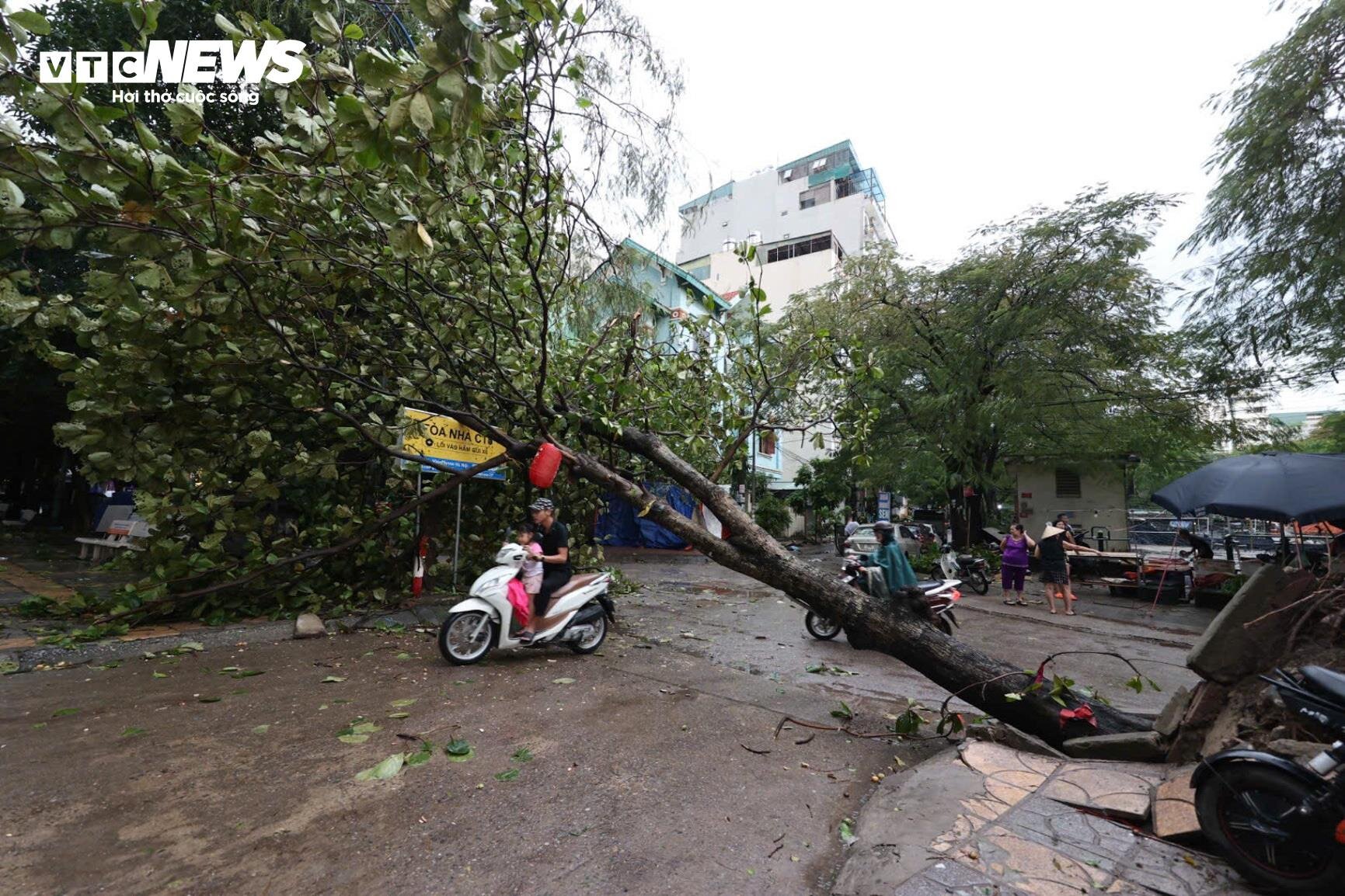 Hà Nội: Ảnh hưởng siêu bão Yagi, cây đổ khiến tường sập, ô tô bẹp dúm trên đường - Ảnh 9.