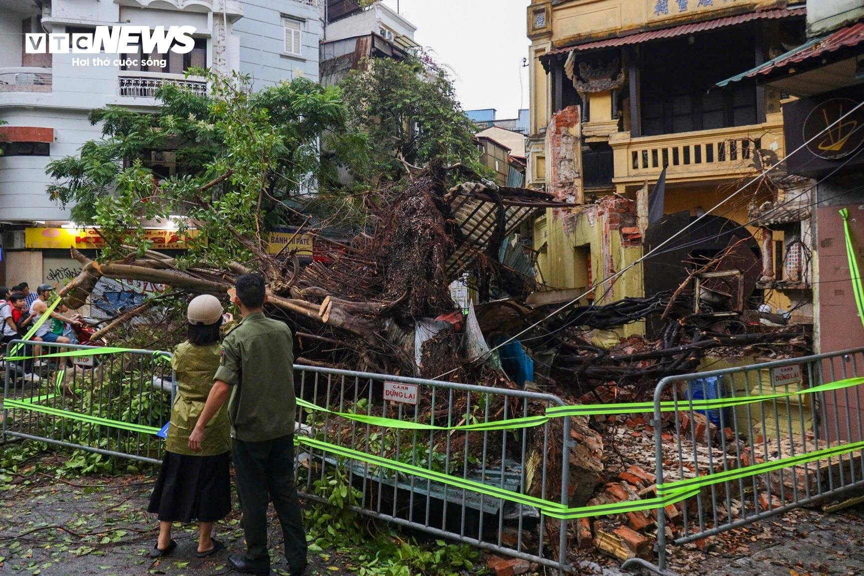 Hà Nội: Ảnh hưởng siêu bão Yagi, cây đổ khiến tường sập, ô tô bẹp dúm trên đường - Ảnh 2.