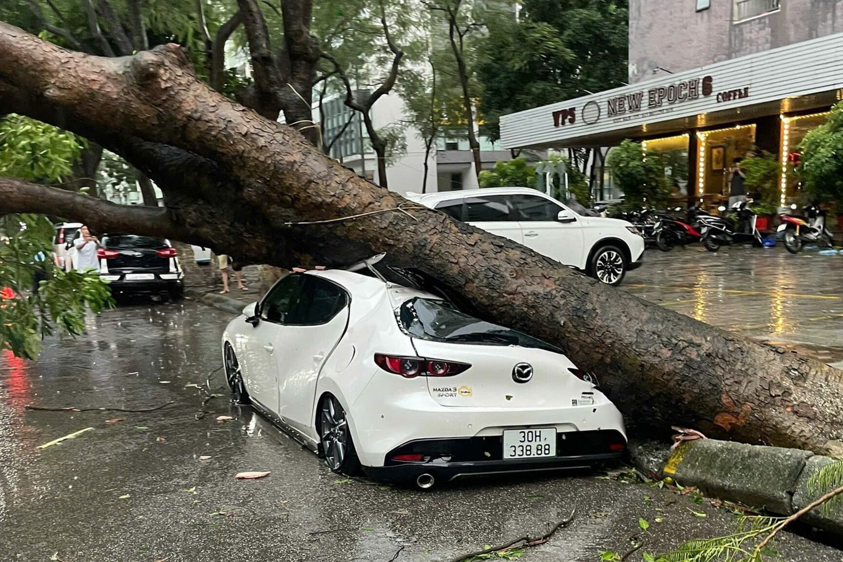 Hà Nội: Ảnh hưởng siêu bão Yagi, cây đổ khiến tường sập, ô tô bẹp dúm trên đường - Ảnh 11.