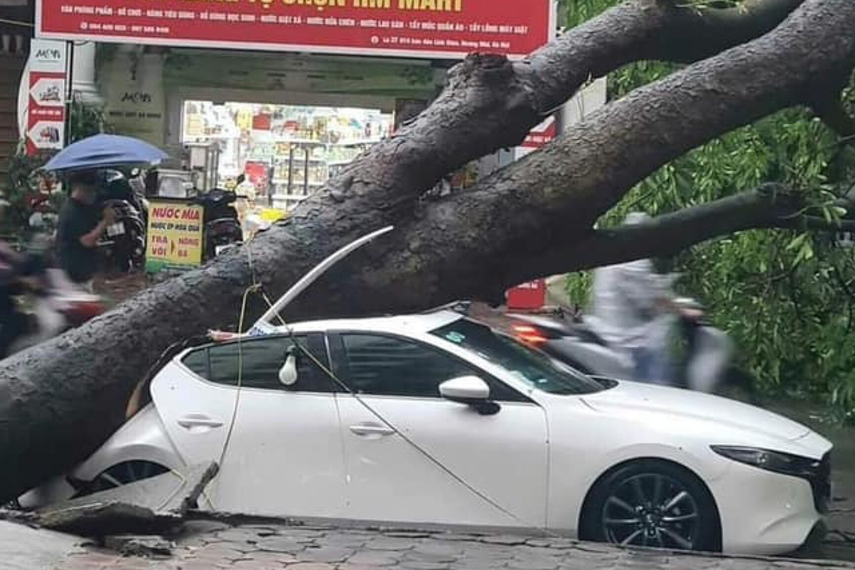 Hà Nội: Ảnh hưởng siêu bão Yagi, cây đổ khiến tường sập, ô tô bẹp dúm trên đường - Ảnh 10.