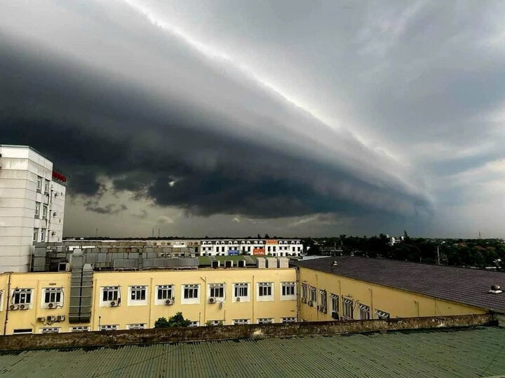 TRỰC TIẾP: Siêu bão Yagi chưa đổ bộ, Hà Nội đã mưa lớn, cây đổ đè chết người - Ảnh 9.