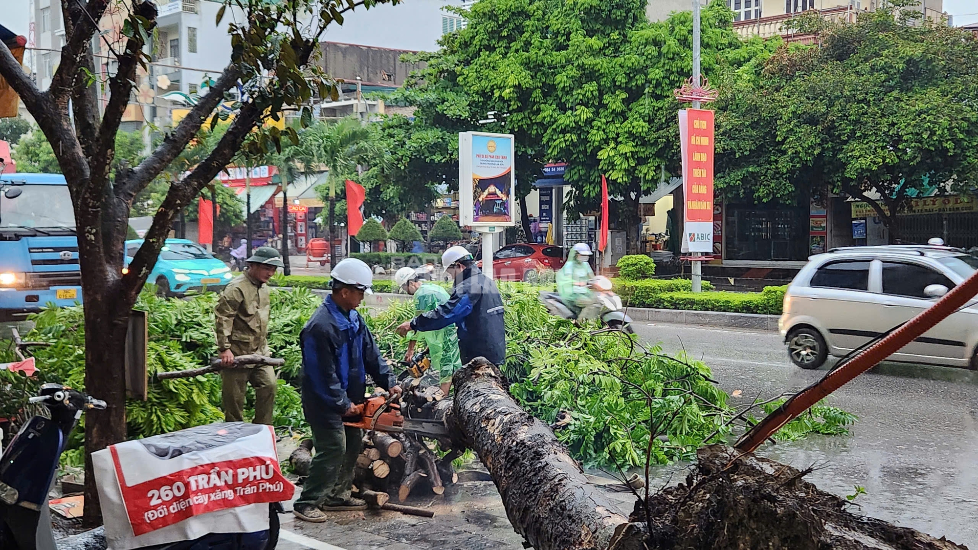 Siêu bão số 3 chưa vào, cây xanh bật gốc khắp nơi đè trúng người đi đường- Ảnh 7.