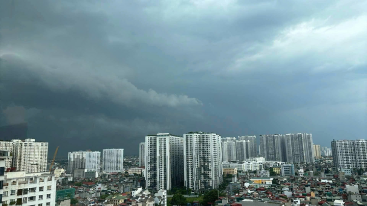 TRỰC TIẾP: Siêu bão Yagi chưa đổ bộ, Hà Nội đã mưa lớn, cây đổ đè chết người - Ảnh 1.