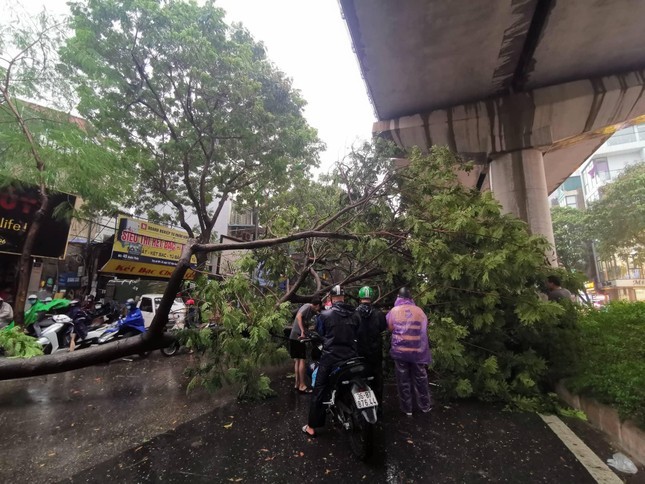 Gió giật cấp 10 có thể &quot;càn quét&quot; Hà Nội do siêu bão YAGI - Ảnh 1.