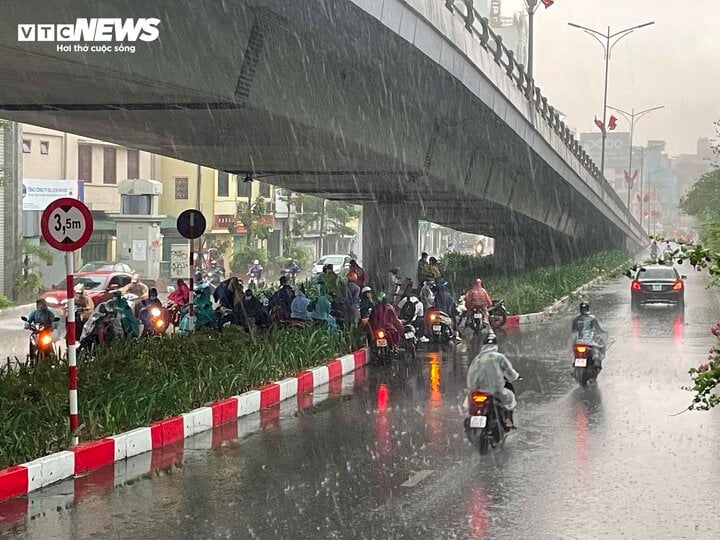 TRỰC TIẾP: Siêu bão Yagi chưa đổ bộ, Hà Nội đã mưa lớn, cây đổ đè chết người - Ảnh 3.