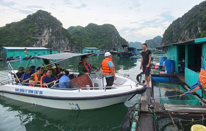 TRỰC TIẾP: Siêu bão Yagi giữ nguyên cấp 16, cách Quảng Ninh 450km - Ảnh 7.