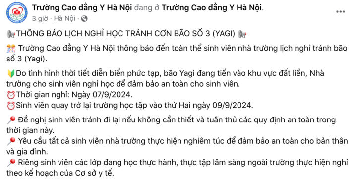 TRỰC TIẾP: Siêu bão Yagi chưa đổ bộ, Hà Nội đã mưa lớn, cây đổ đè chết người - Ảnh 7.