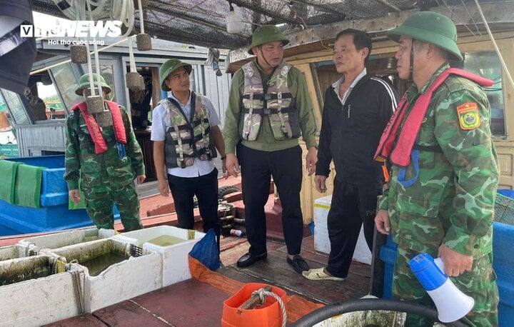 TRỰC TIẾP: Bão Yagi áp sát Quảng Ninh, mưa gió giật kinh khủng, cây đổ la liệt - Ảnh 48.