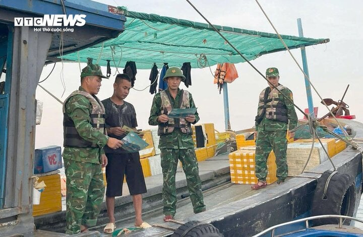 TRỰC TIẾP: Bão Yagi áp sát Quảng Ninh, mưa gió giật kinh khủng, cây đổ la liệt - Ảnh 49.